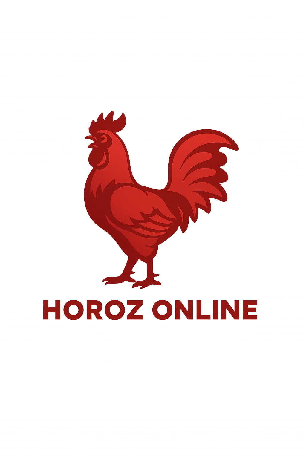 Horoz Online | Dijital Pazarlama ve SEO Ajansı
